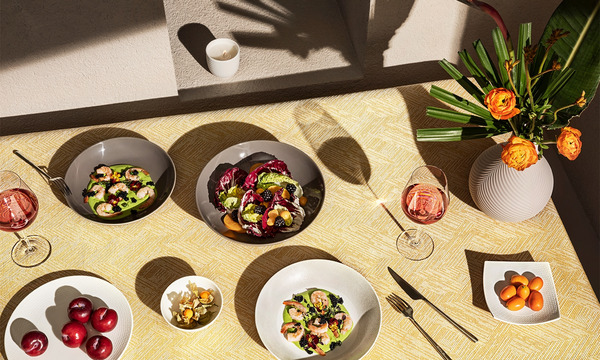 Kinh Nghiệm Chọn Mua Bát Đĩa Sứ Xương Theo Ý Kiến Của Chuyên Gia