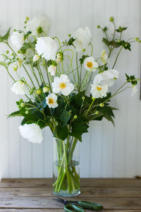 Gợi Ý Trang Trí Hoa Trên Bàn Tiệc Trà Chiều Kiểu Anh