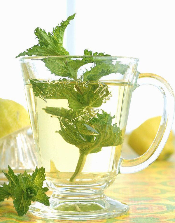 Top 4 Loại Trà Thảo Mộc Tốt Cho Hệ Tiêu Hóa