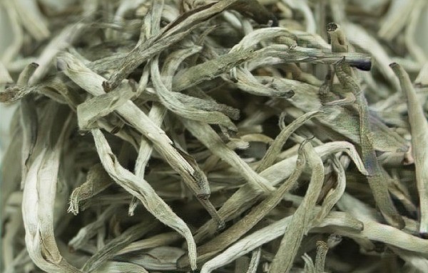 Kiến thức tổng quan – Phân Biệt Các Loại Trà Cơ Bản